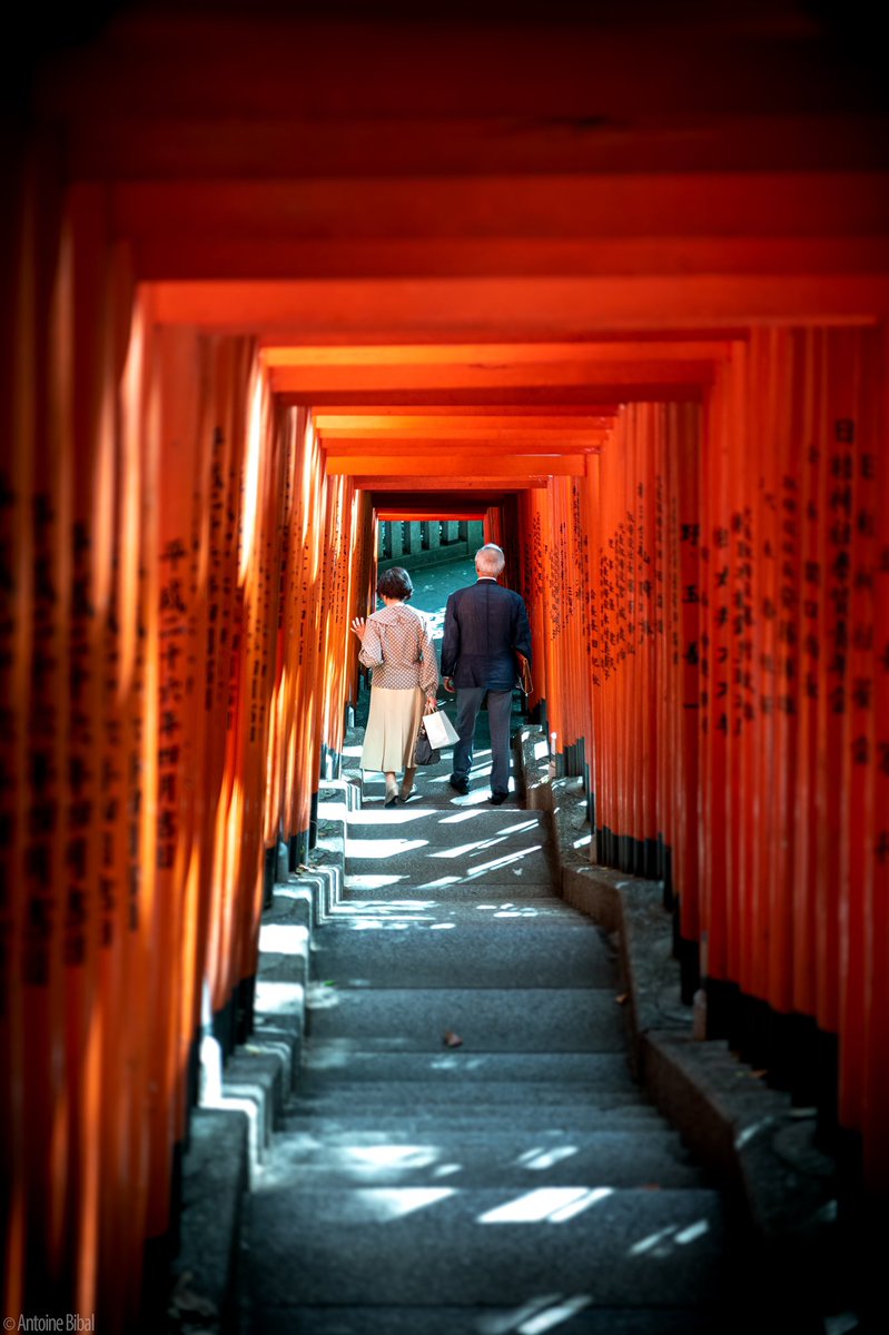 Torii / Couple
Hie Shrine, Tokyo 2019
#photography #Tokyo