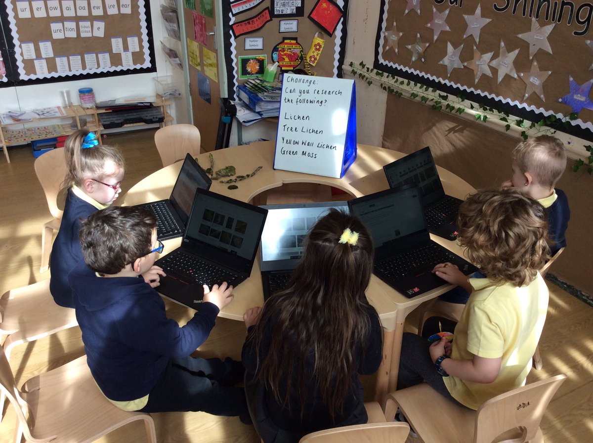MrsConway01's tweet photo. We enjoyed being ‘Nature Detectives’ observing plants around the school. We discovered ‘Lichen’ we then researched using our ThinkPads 👨🏻‍💻 @fcwpa @SharonPascoe123 https://t.co/kboOlRbarh