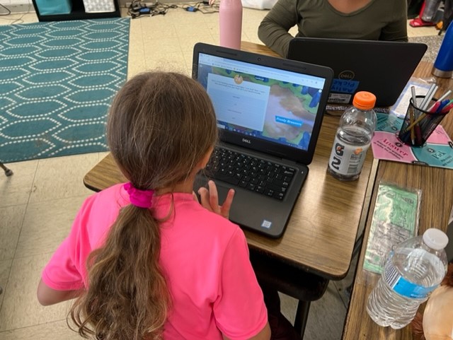 Denise Collins tweet media