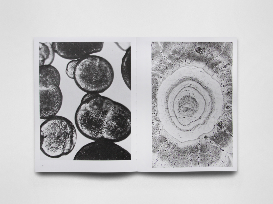 tabayer's tweet photo. SUMMA Vol. I: Singularity and a Totality by #Tabayer launches tonight @tenderbooks, Cecil Court, London

#SUMMAjournal features new work by @magiclanterned, @shumonbasar, #FedericoCampagna, @fifidunks, @daisylafarge, and #TabitaRezaire, with a visual essay by #batiasuter

RSVP vi https://t.co/81McJgA4QR