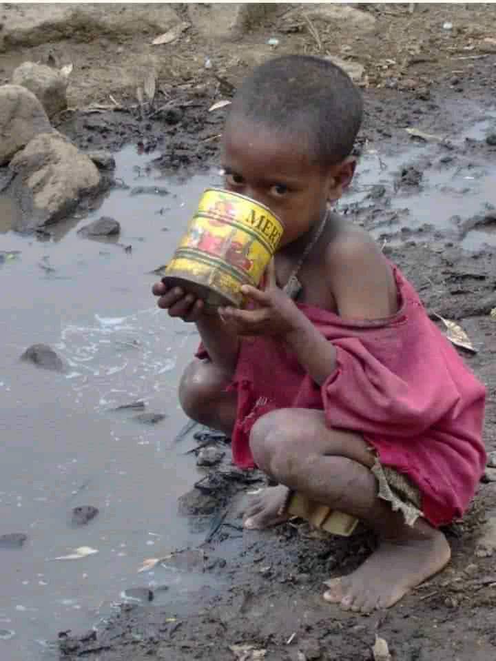 DQarab's tweet photo. #Afar children and women 
Under sever condition in
Northern zone we call up on
Every one across worldwide to
Support #Afar community for
Humanitarian aid
@USAIDEthiopia @WHO 
@USAID@AbiyAhmedali https://t.co/1oAbrbAuy6