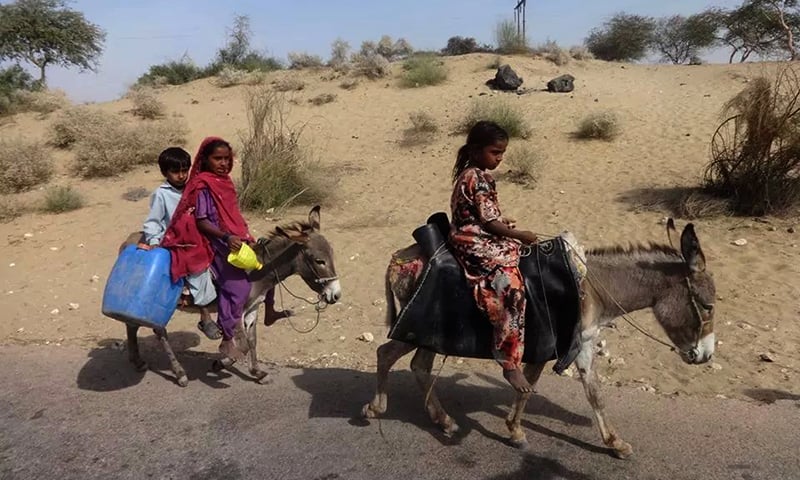 basic education is right of every human educate the girls they will change the World 
<a href="/TharEduAlliance/">Thar Education Alliance</a> <a href="/YesWeEducate/">Yes We Educate Sindh</a>