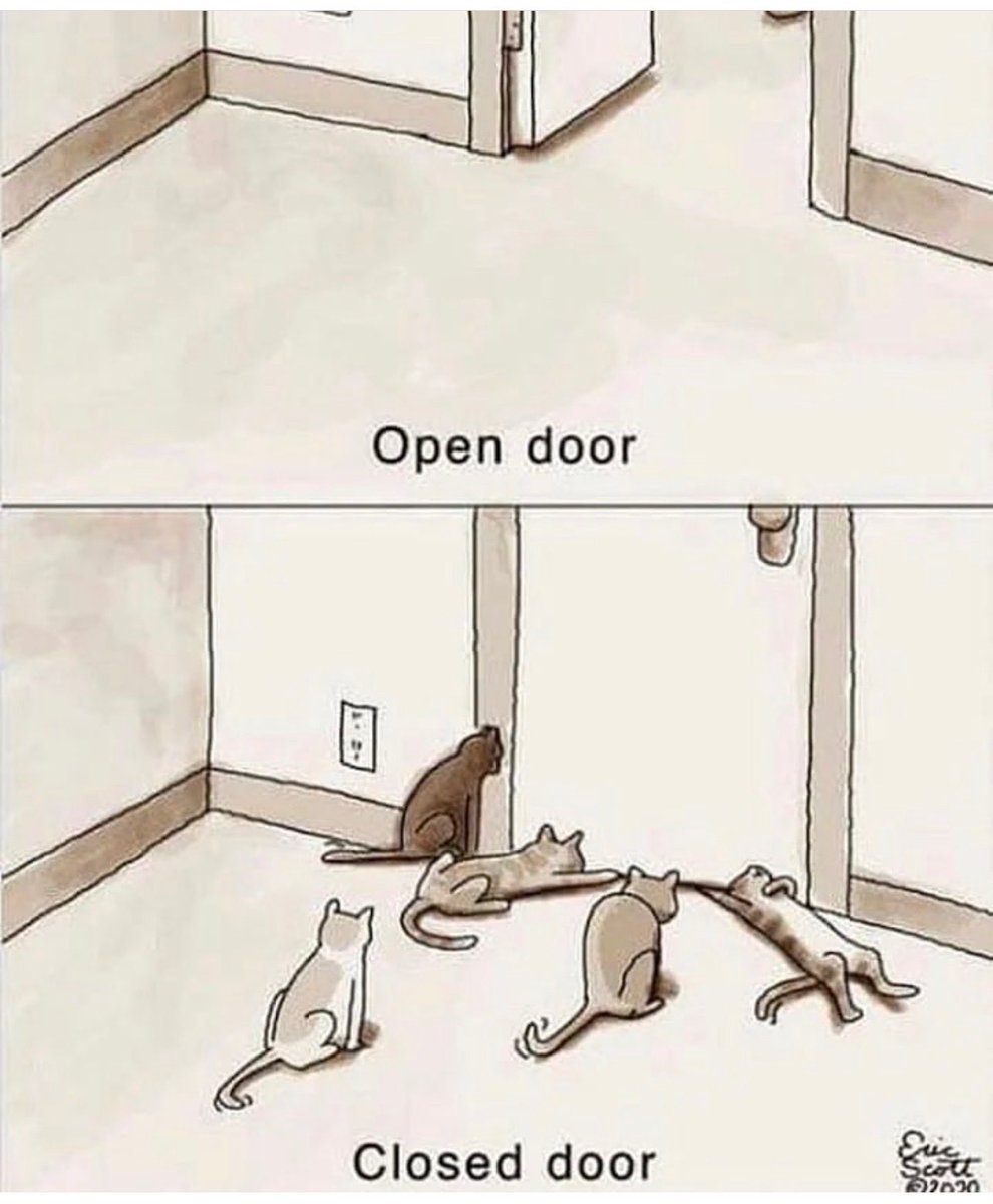 Cat Food Breath tweet media