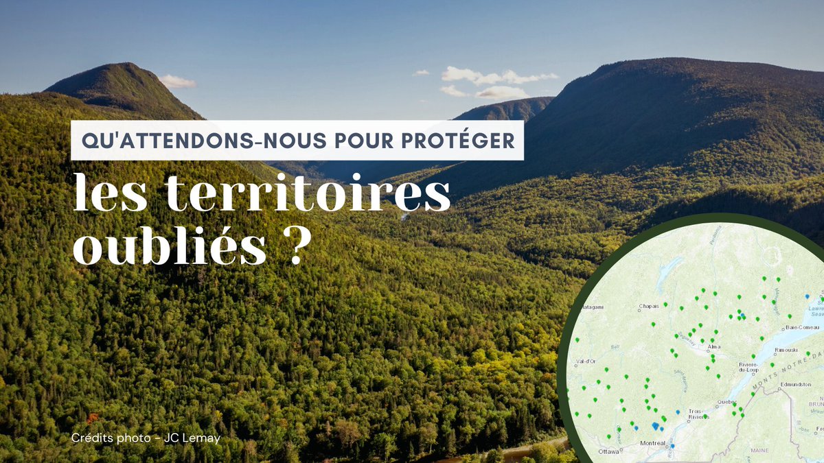 CREAT_08's tweet photo. COMMUNIQUÉ📣 Représentants autochtones, citoyens, organisations environnementales, professionnels de la santé et du plein air demandent au @GouvQc la protection de tous les territoires oubliés dans le #sud du #Quebec d'ici la fin de son mandat.
👉 https://t.co/37VeNIFDI4 https://t.co/RAi4mHDr7Y