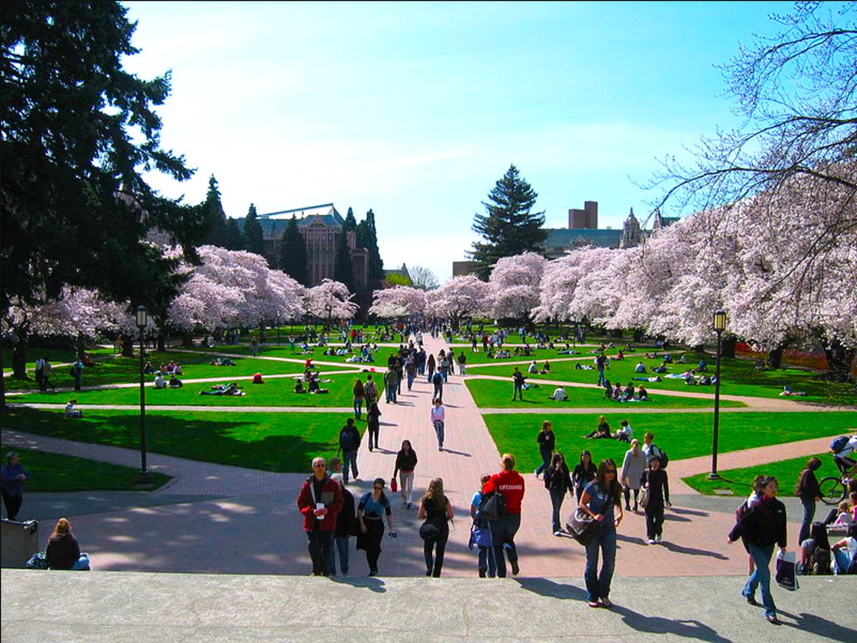 bonbon11214's tweet photo. #アメリカ で #お花見🌸
ワシントン大学(UW)

D.C.ではなくワシントン州の方
大学構内に植えられた見事なソメイヨシノ🌸✨
この時期は学生だけでなく地元の人も
桜を見に集まってくるとか😌

#海外旅行 #シアトル #旅 #旅行 #旅行好きな人と繋がりたい  #旅好きな人と繋がりたい https://t.co/GRWydznWmW
