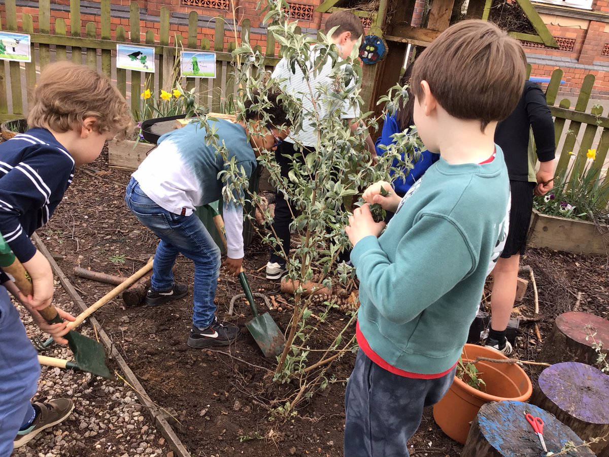 ClaphamTerrace1's tweet photo. Year 3 COL have renewed the bug hotel and found lots of different guests who were visiting! They also planted a buddleia shrub to attract butterflies to the nature area. #bughunting #caringfornature https://t.co/OhwIruR2vF