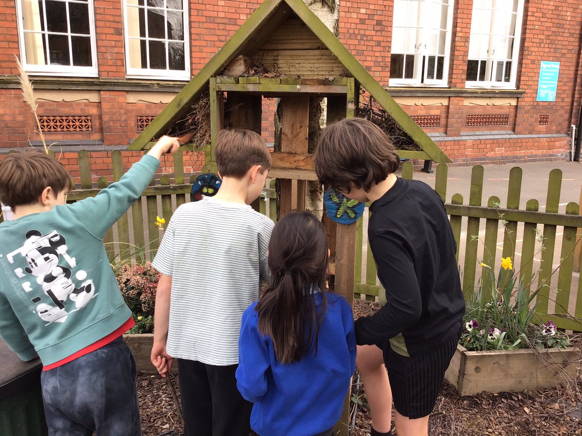 ClaphamTerrace1's tweet photo. Year 3 COL have renewed the bug hotel and found lots of different guests who were visiting! They also planted a buddleia shrub to attract butterflies to the nature area. #bughunting #caringfornature https://t.co/OhwIruR2vF
