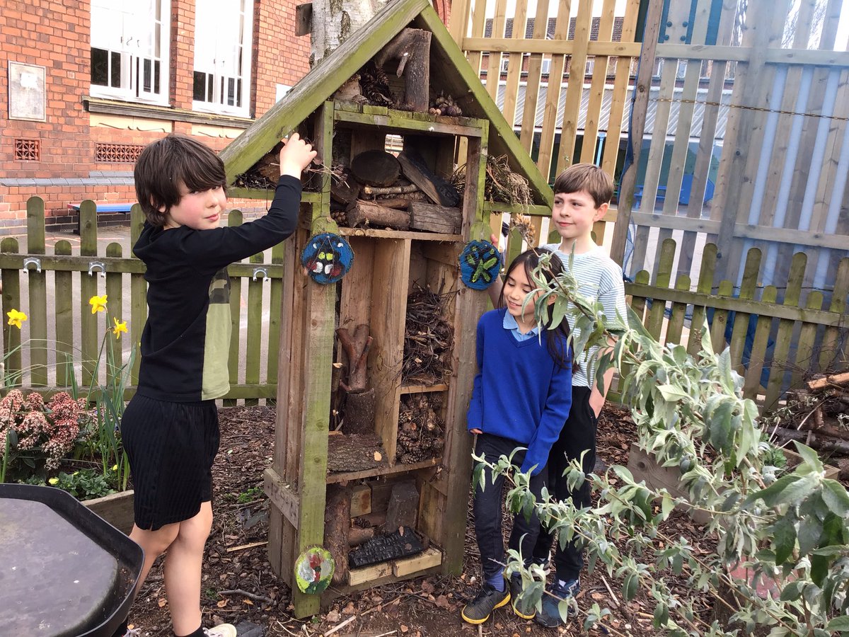 ClaphamTerrace1's tweet photo. Year 3 COL have renewed the bug hotel and found lots of different guests who were visiting! They also planted a buddleia shrub to attract butterflies to the nature area. #bughunting #caringfornature https://t.co/OhwIruR2vF
