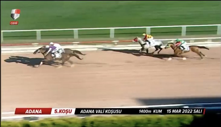 Adana Vali Koşusunu Tuncer harasının gururu şampiyon #Bayemir jokeyi M.Akyavuz idaresinde kazanıp 31 inci birinciliğini elde etmiştir.Kendisi kadar başarılı koşan değerli safkan #Toramankaya yıda tebrik ederiz.