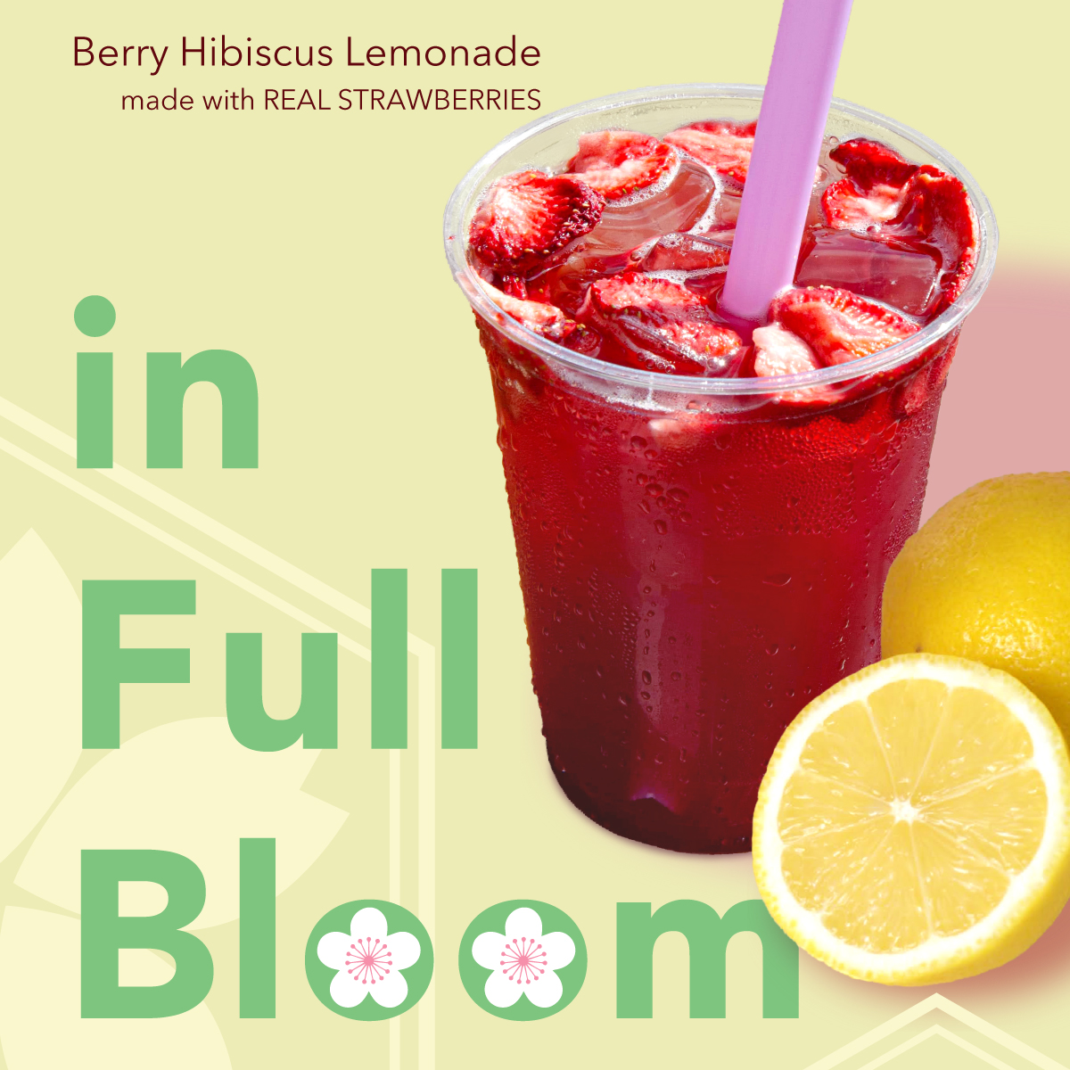 eatatbento tweet media