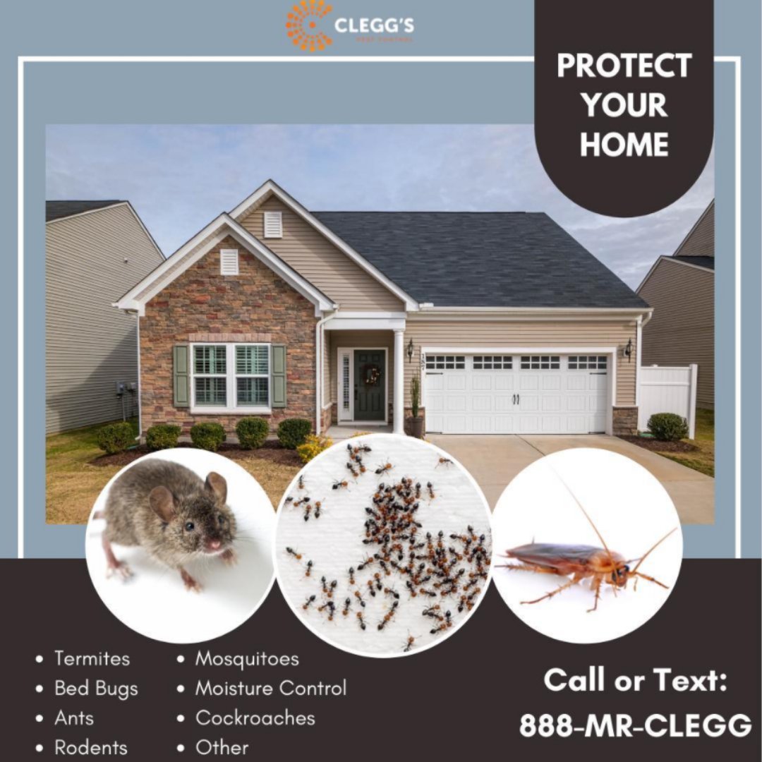 Contact Clegg's Pest Control for your free inspection! 
 💻 cleggs.com
 📲 888-MRCLEGG