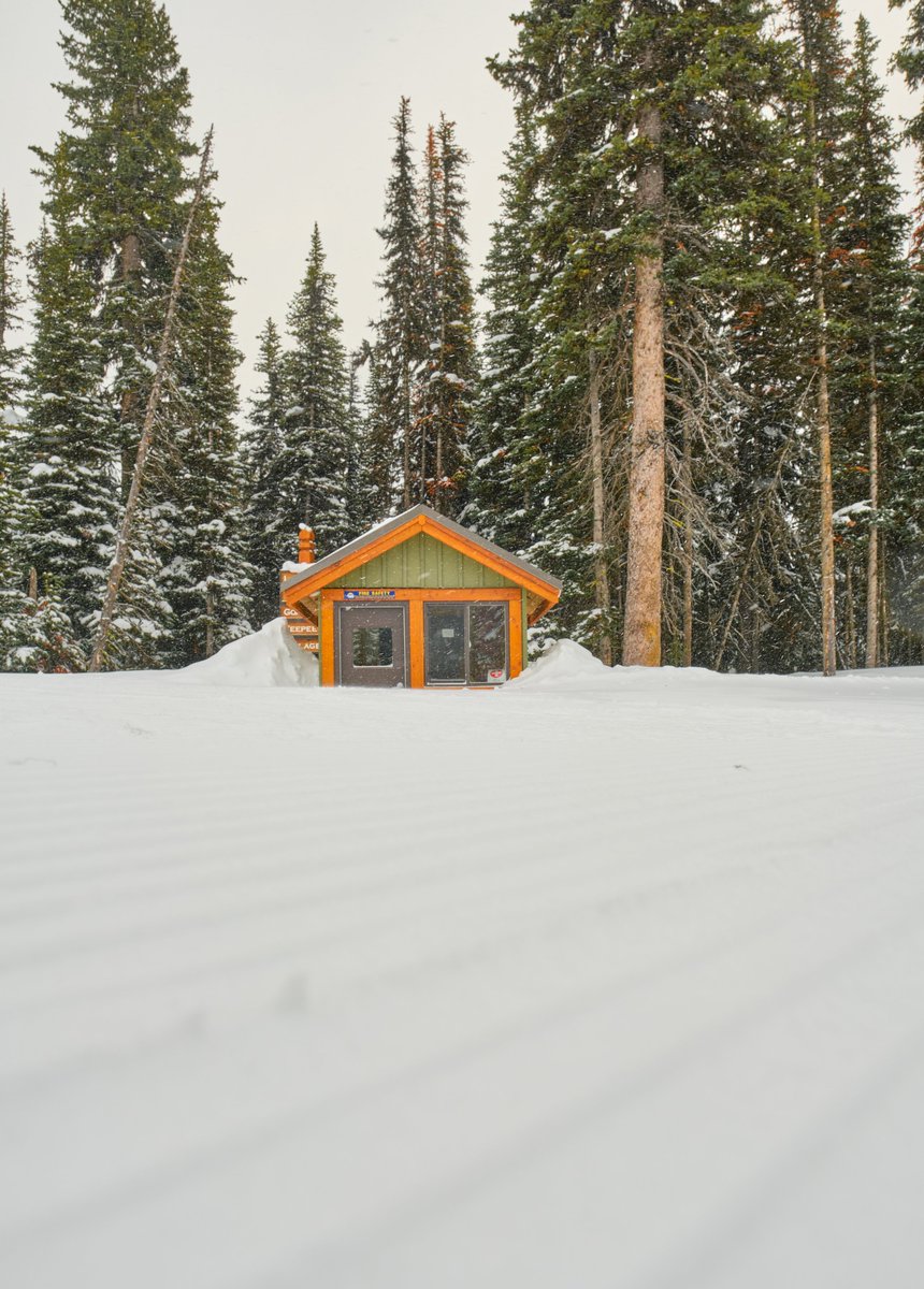 SO much snow! In the past 24 hours we received 11cm of Canada's Best Snow!