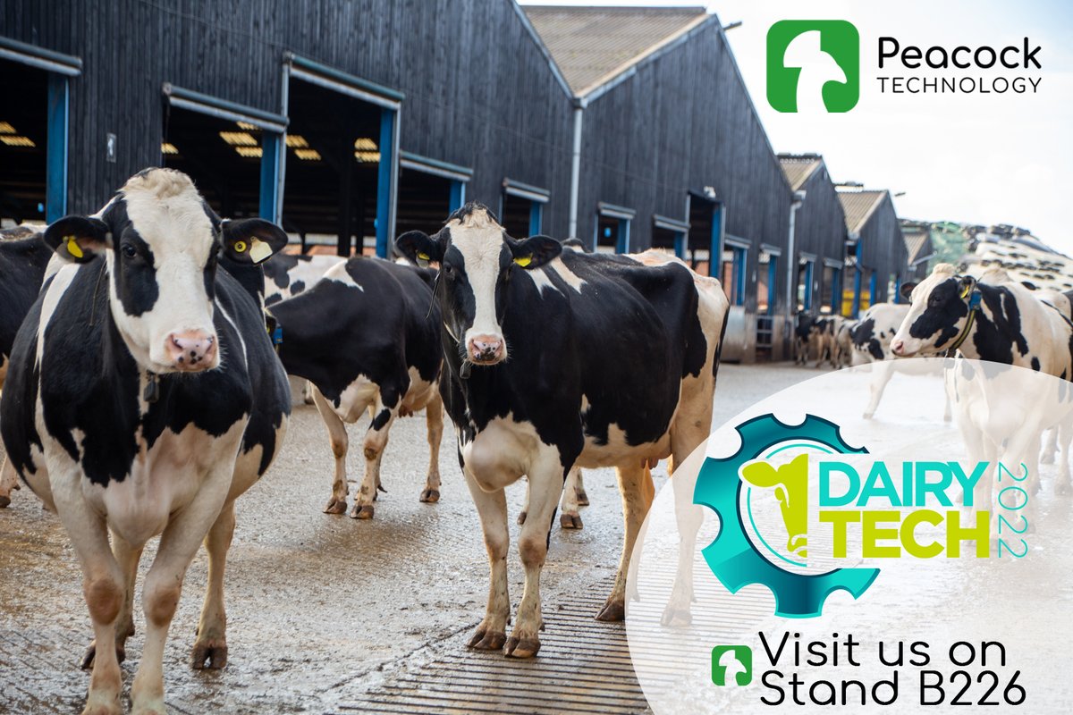 peacock_tech's tweet photo. 🐮2 Weeks to Go!!🐮

We are looking forward to seeing you all at Dairy Tech on the 7th April. 

Make sure to visit stand B226!

#peacocktechnology #dairytech #tradeshows #innovation #rotaryfarming https://t.co/IZKTBefSk4