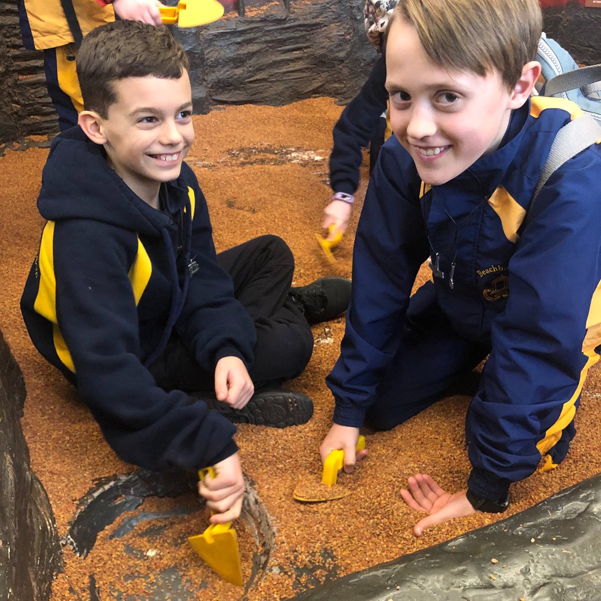 Beachborough Trips tweet media