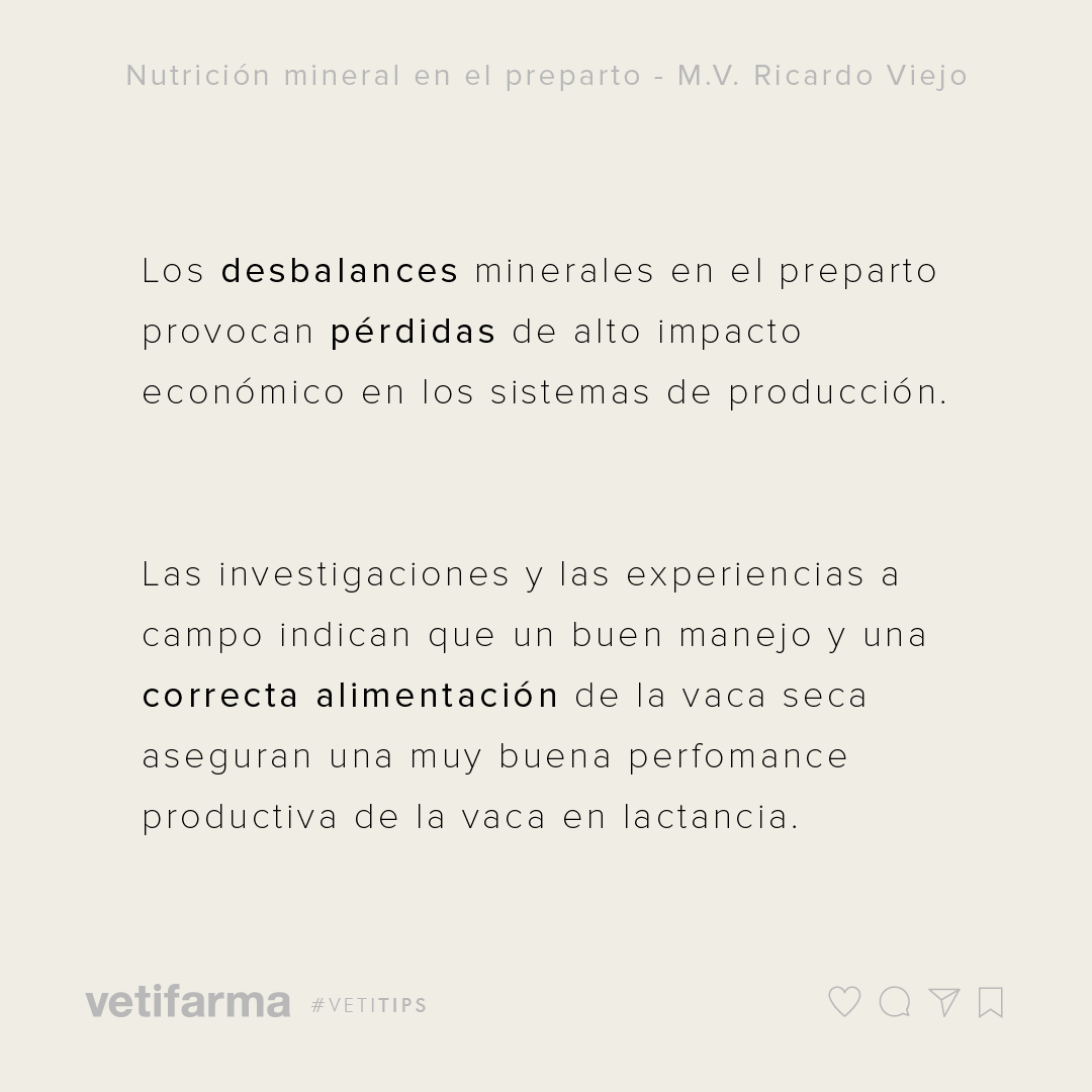 vetifarma's tweet photo. #VetiTips - NUTRICIÓN MINERAL EN EL PREPARTO
Los desbalances minerales en el preparto provocan pérdidas de alto impacto económico en los sistemas de producción. https://t.co/egg9YvM6mD
