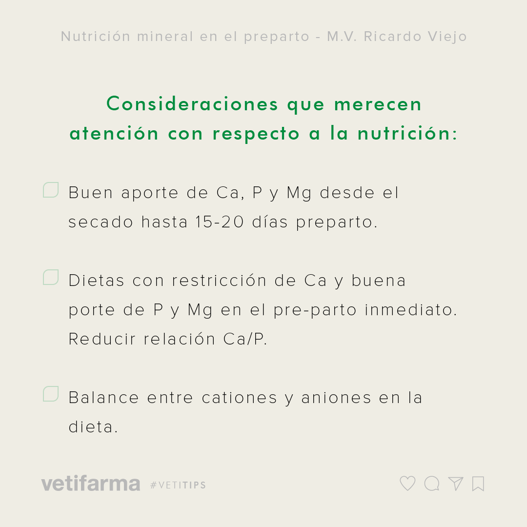 vetifarma's tweet photo. #VetiTips - NUTRICIÓN MINERAL EN EL PREPARTO
Los desbalances minerales en el preparto provocan pérdidas de alto impacto económico en los sistemas de producción. https://t.co/egg9YvM6mD