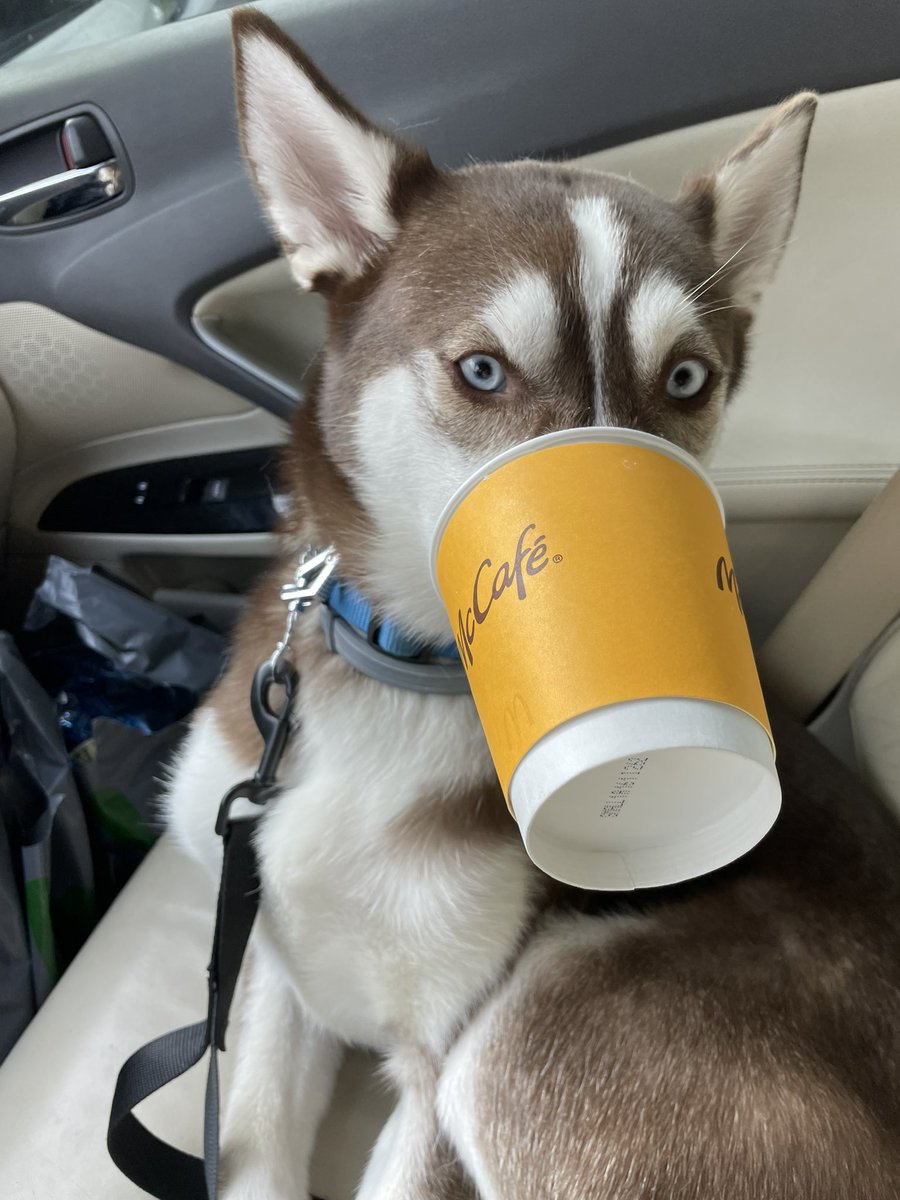 Peter Griffin tweet media