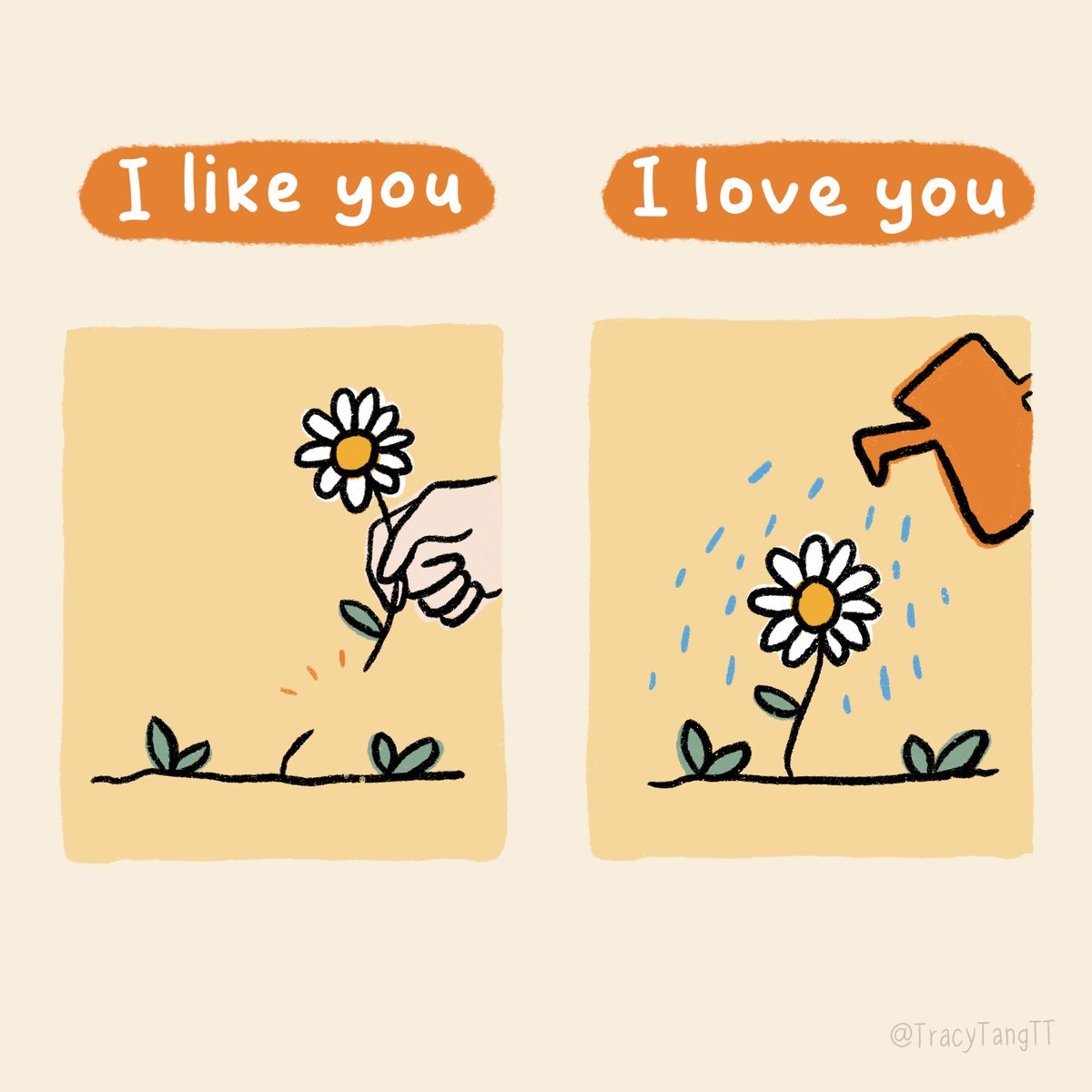 What's the difference between "I like you" and "I love you"?

When you like a flower - you just pluck it.

When you love a flower - you water it daily.