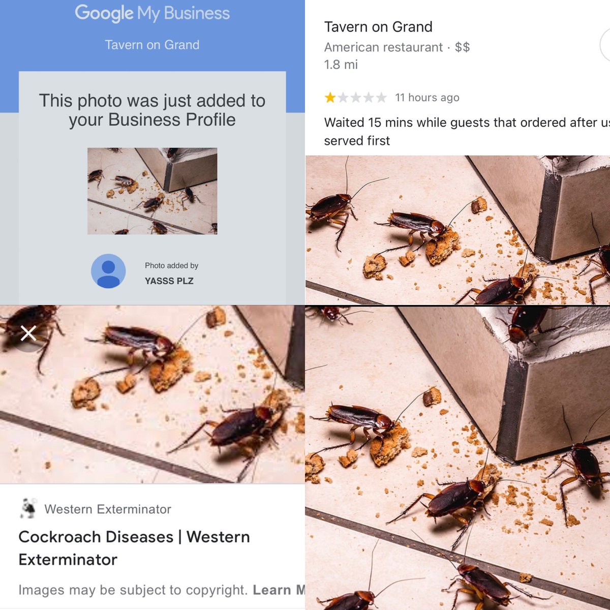 A guest was unhappy with our service and posted a Google review last night. They included an unsavory photo unrelated to their visit. We’ve included an image showing the website the photo was taken from.