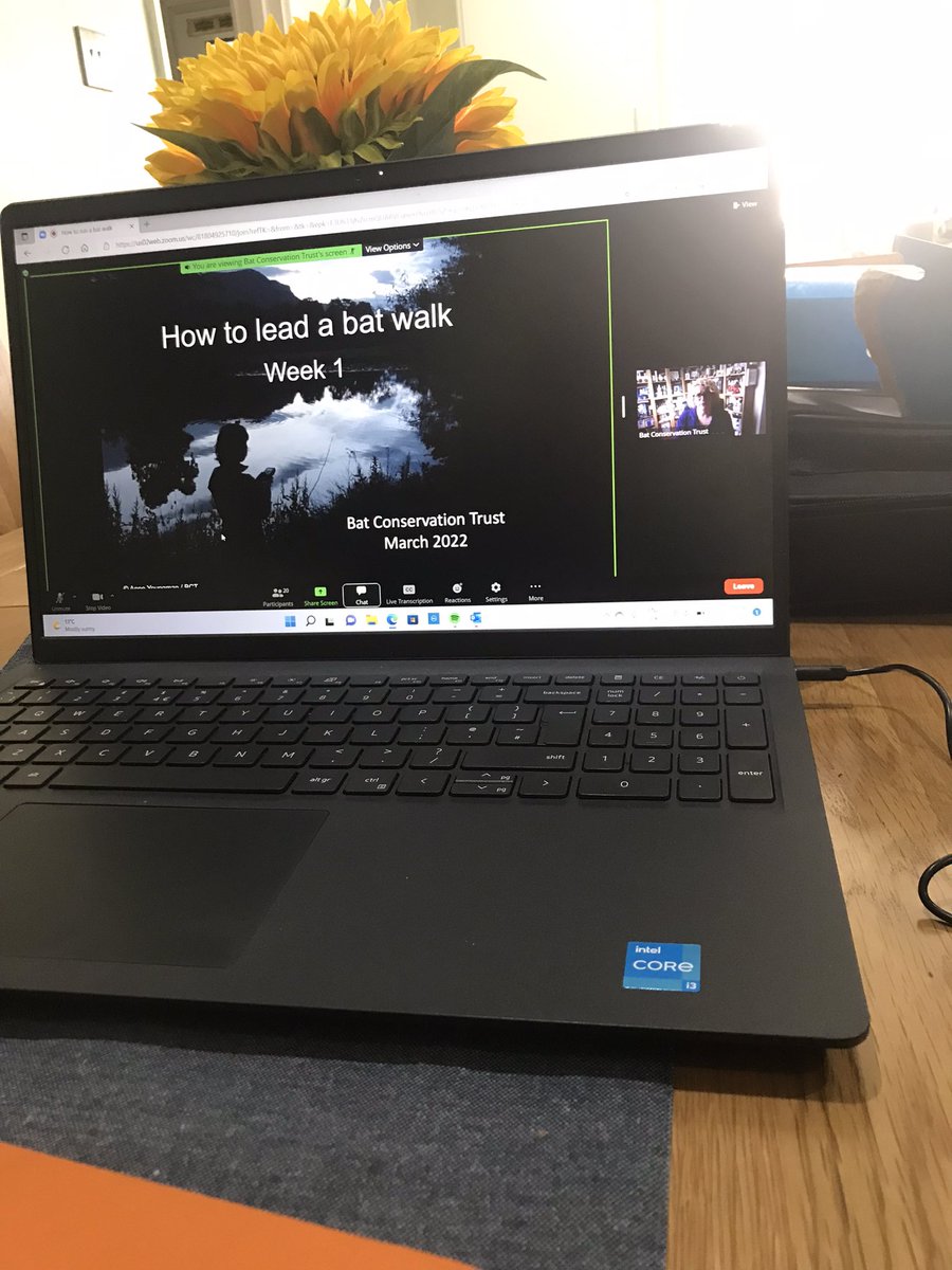 Online training today.  #whitleybay #cullercoats #tynemouth #monkseaton