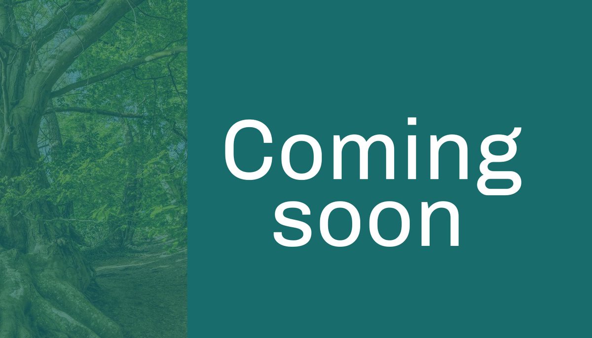 Crisp Professional Development tweet media