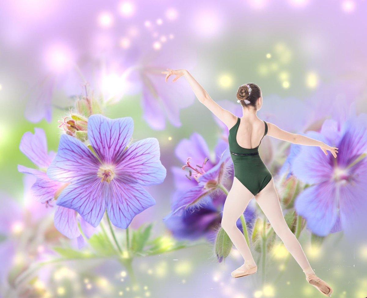 Dancer_NYC14's tweet photo. Time to start planning some outdoor photos!
https://t.co/8Ro3WGpt9z #DancerNYC #balletphotos #dancephotography #Ballet #dancewear #leotards #classicalballet #dancers #Dancer #balletdancers #balletlove #balletstudents #balletbeautifulgirls #balletbeautiful #worldwideballet https://t.co/C0kz4wLvQf