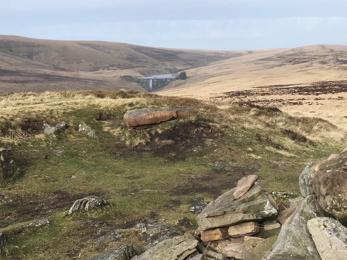 mikelewis1960's tweet photo. Hike 6: 2022 - First time exploring the #MynyddDuForest area of the #BlackMountains. Took in #ChwarelyFan (670m) and #BalMawr (607m) + trek to #GwyrneFawrReservoir. Dogs off lead in the forest & loved it πβπ¦Ί- @walkthebeacons @BreconBeaconsNP https://t.co/FkIVB4R7QG
