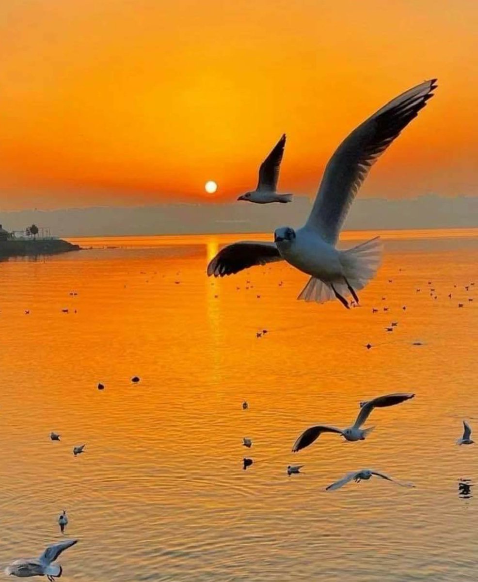 #mete💕💕

Şehir , akşam ve sen 💛❤️

~Nazım Hikmet

#iyiaksamlar 💜💜💙💙🍃☕🌹💦