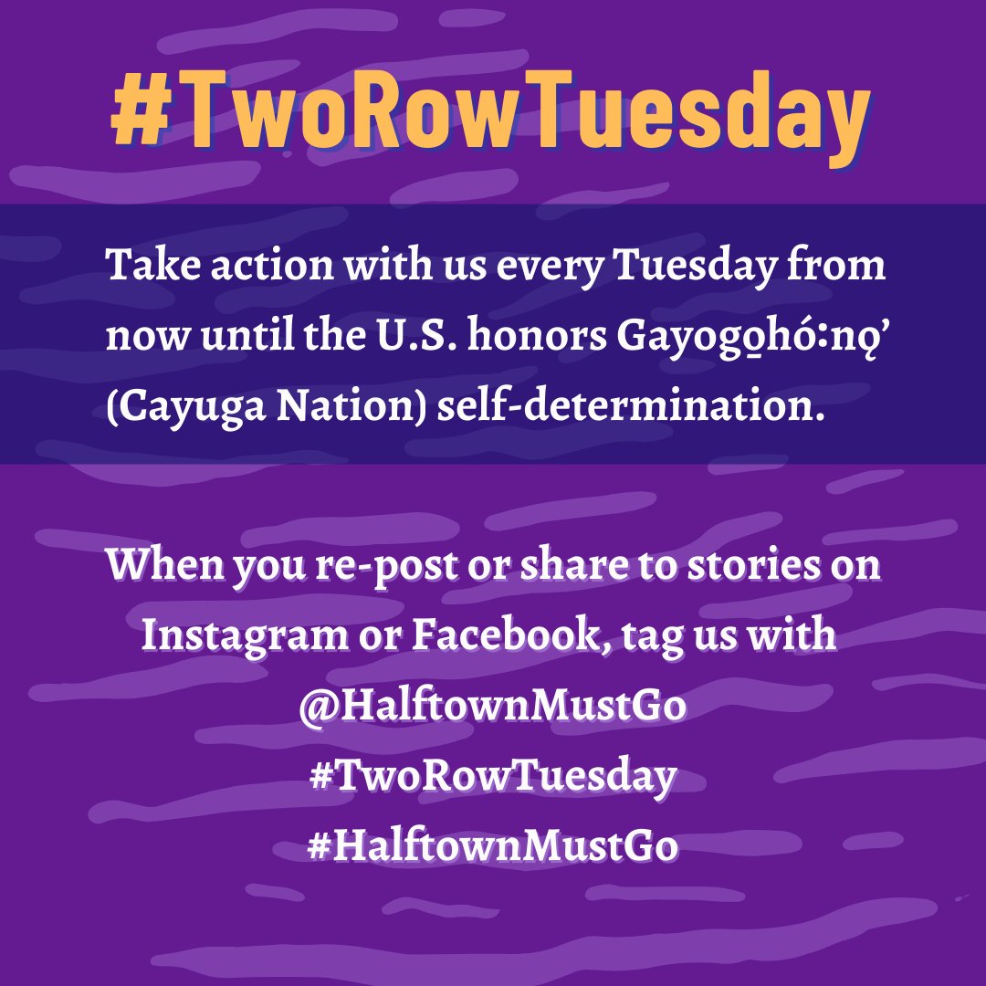 HalftownMustGo's tweet photo. 🧵Take ✨action ✨ with us every Tuesday from now until the U.S. honors Gayogo̱hó꞉nǫʼ (Cayuga Nation) self-determination. When you re-post or share to stories on social media, tag us with @HalftownMustGo #TwoRowTuesday #HalftownMustGo
/n https://t.co/lBfcwcen2K