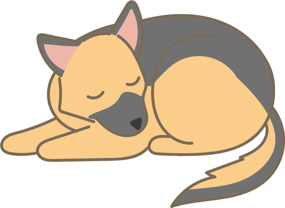 ちゃんつま Cyantuma Twitter