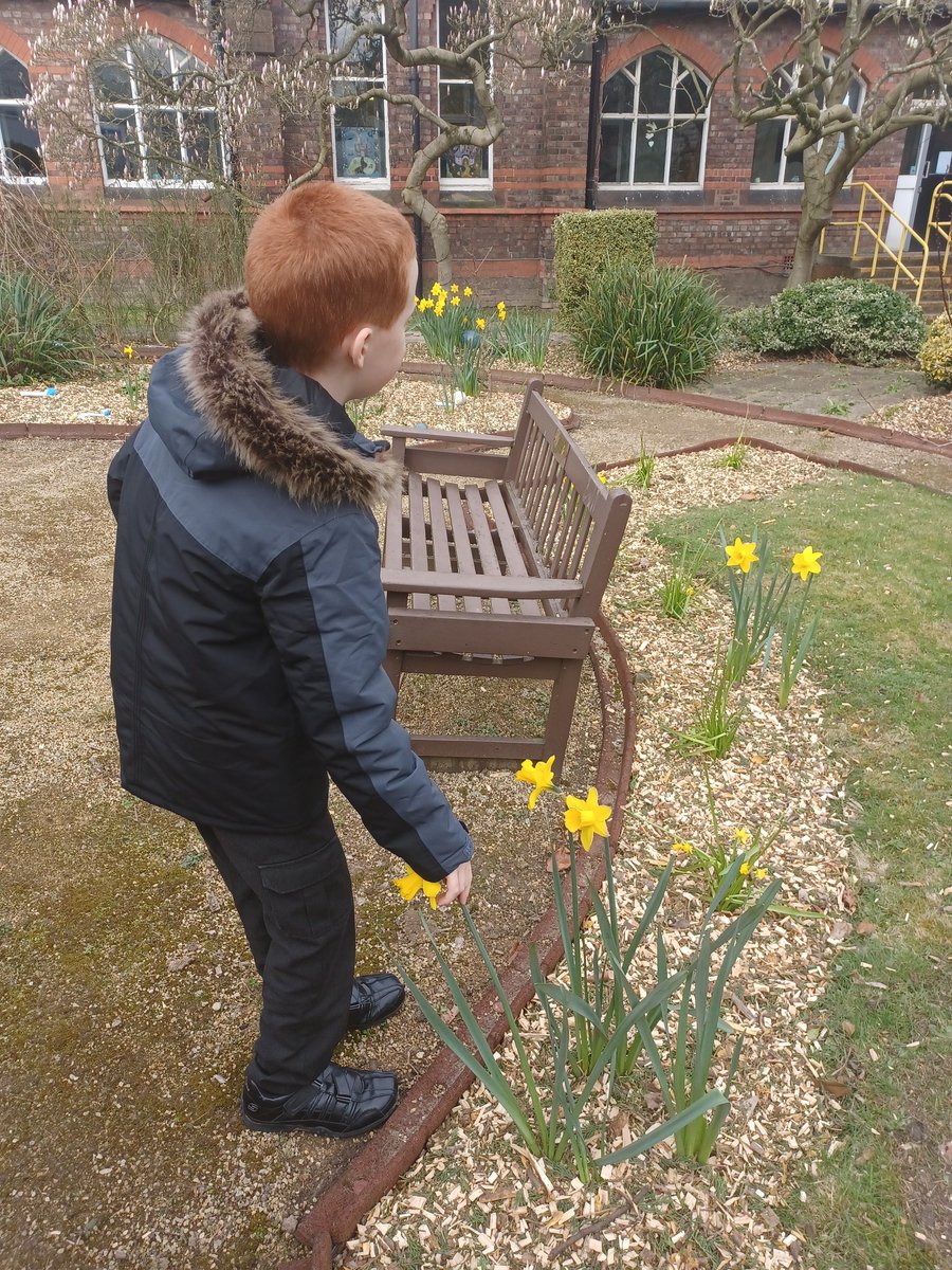 louisecrawfordI's tweet photo. @StVincentsL12 lucas had a lovely walk around the sensory garden today, we found lots of spring time flowers and lucas found the school bell @StVincentsL12 @Mrscooneystvin @lydiaveach_ #springtime #GardenersWorld #rhs #daffodils https://t.co/XBWBxxyDbC