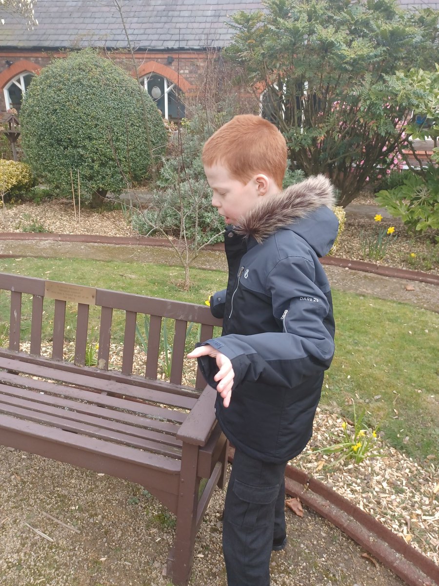 louisecrawfordI's tweet photo. @StVincentsL12 lucas had a lovely walk around the sensory garden today, we found lots of spring time flowers and lucas found the school bell @StVincentsL12 @Mrscooneystvin @lydiaveach_ #springtime #GardenersWorld #rhs #daffodils https://t.co/XBWBxxyDbC