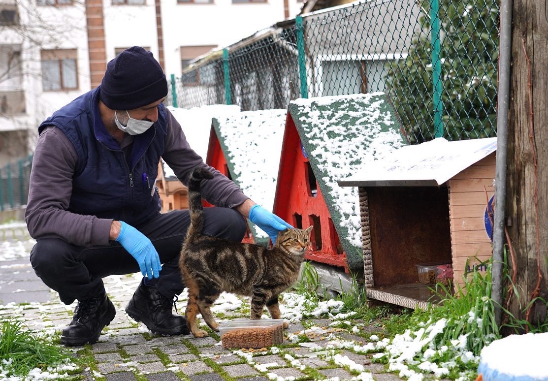 sislibelediyesi's tweet photo. Yoğun kar yağışında can dostlarımızın her an yanındaydık.💙

Yağışın etkili olduğu üç günde 79 acil vakaya gittik, 36 hasta/yaralı can dostumuza tıbbi destek sağladık. 
Mahallelerimizde besleme çalışmalarımıza hız kesmeden devam ettik, toplamda 354 kilo mama dağıtımı yaptık. https://t.co/slWbAWkts1