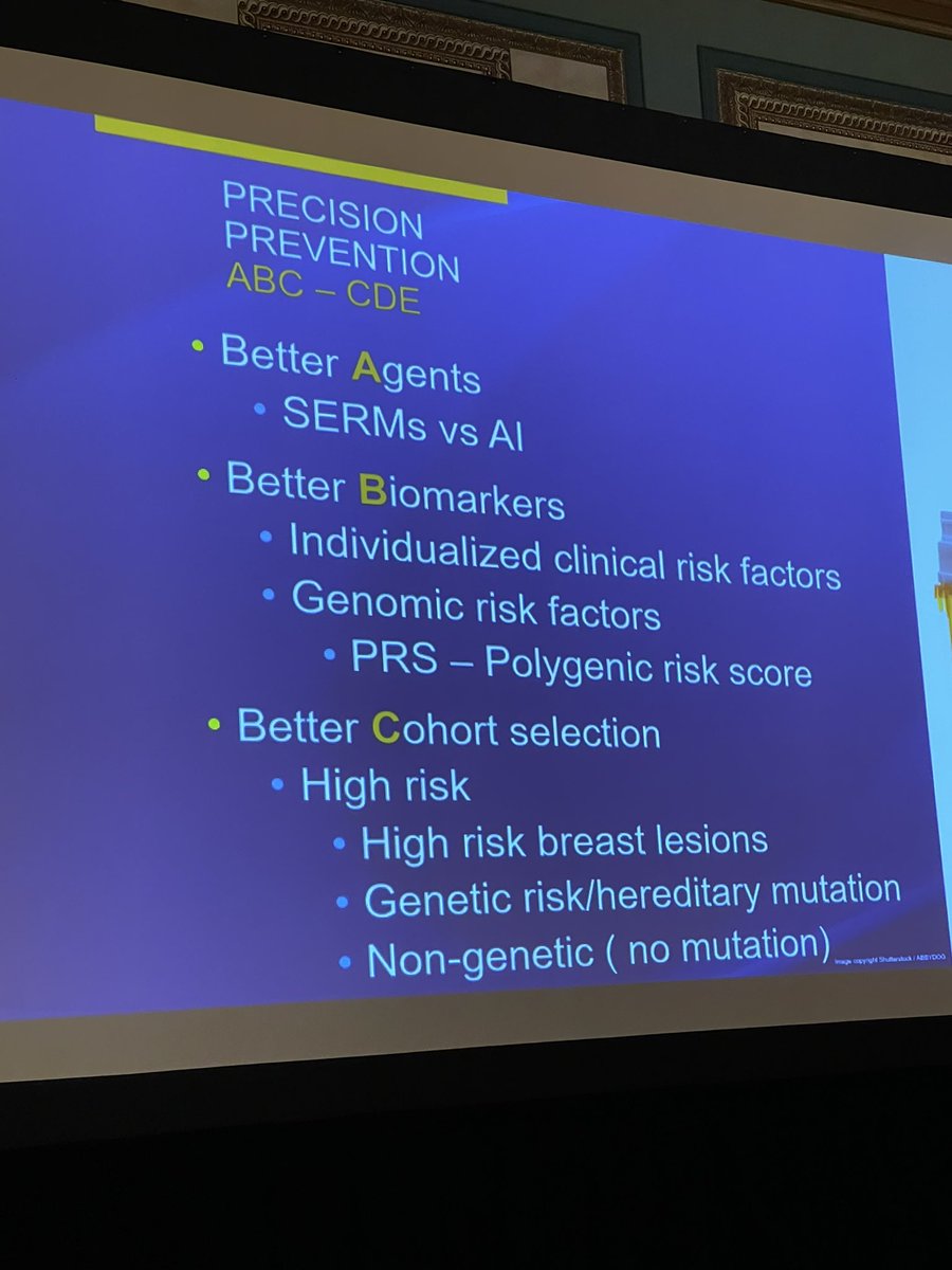 <a href="/DrSandhyaPruthi/">Sandhya Pruthi</a> sharing the importance of Precision Prevention for breast cancer <a href="/NCBC_BreastCare/">NCBC</a>.Risk stratification vital for evidence based patient care. <a href="/DrLaurenNye/">Lauren Nye</a>