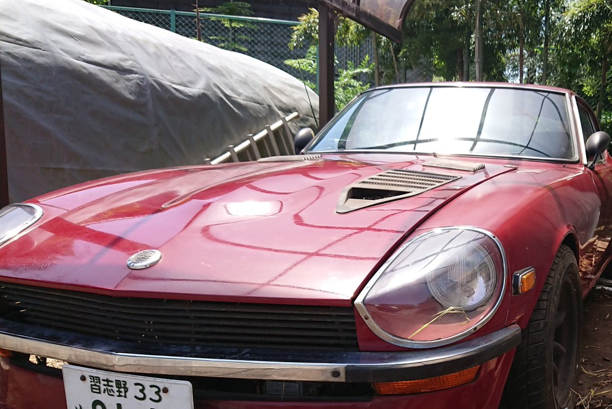 のり Z will be back soon She's finally waking up on X