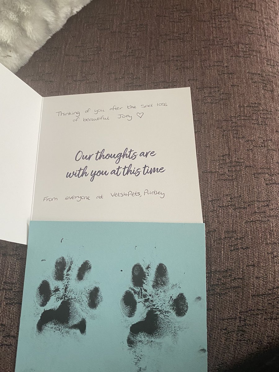Thank you for this <a href="/vets4pets/">Peter Weinstein</a> Pudsey. When you lose your beautiful, faithful dog, your heart breaks. Receiving a card and his paw prints in the post today made my day.
