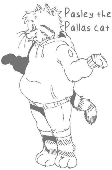 Also since he is on the first page here is his slight redesign, (I am redrawing it btw)

Pasely (Pays-lee) the Pallas cat! 