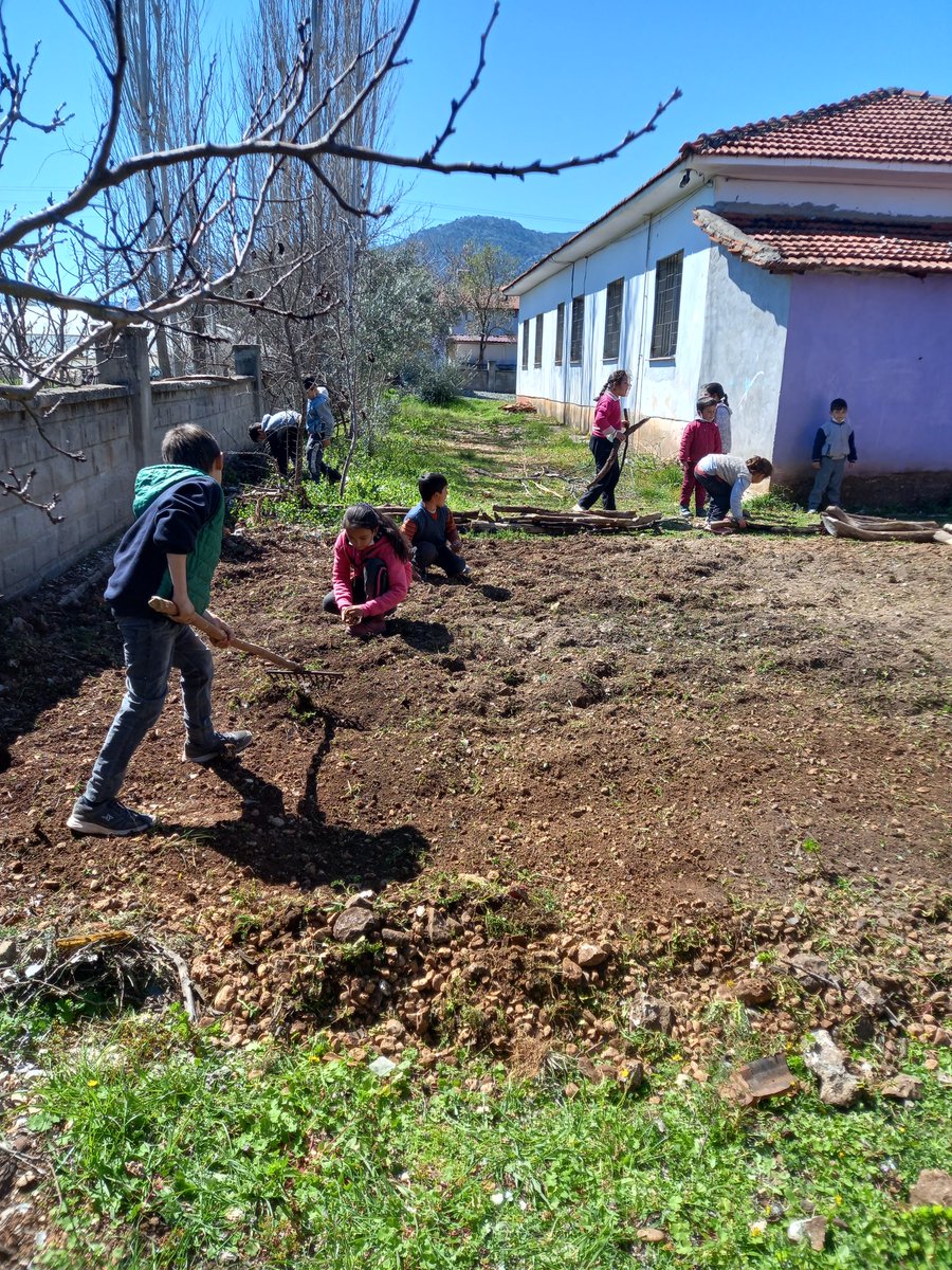 ZaferSargl2's tweet photo. Sebze yetiştirmeyi planladığımız yeri işbirliği ile hazırladık. 
#birleştirilmişsinif 
@mugla_mem
@Seydikemer_MEM 
@emrecay55 
@SanFerah https://t.co/OTDwEXw3fV