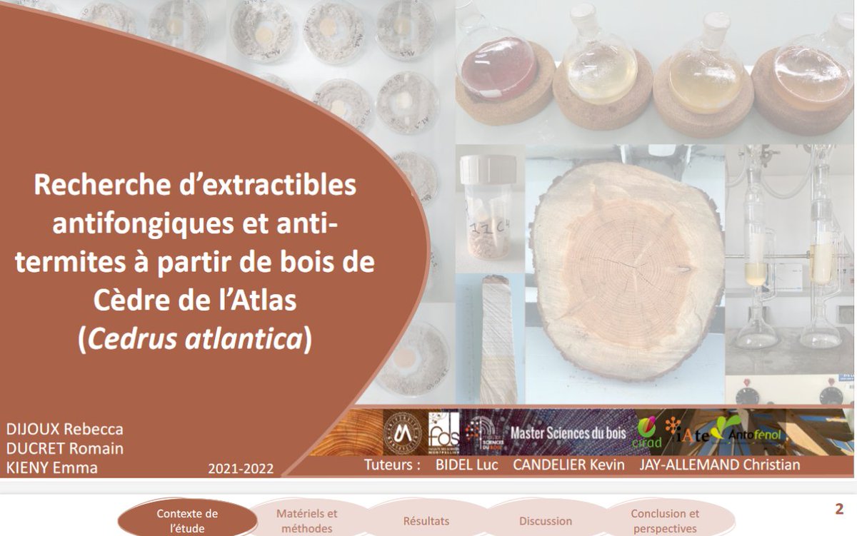 MasterBoisUM's tweet photo. Restitution des travaux d'études de cas (3/3) :

📍 Recherche d'anti-fongiques à partir de #biomasses ligneuses

📍 Utilisation du #bois d’agroforesterie pour la conception de planches de #surf

@PLivradoisForez
@neoforwood
@biowooeb
@IMTMinesAles
@FacsciencesUM https://t.co/YFVtoYrzks