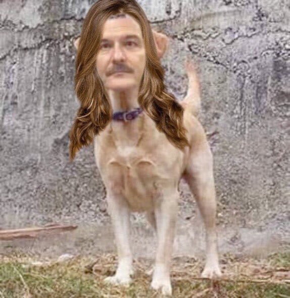 Yahu milli yerli ümmetçi dinci diktatörcü canlarım ciğerlerim dostlarım gözümün nurları neden bu kadar kızıyorsunuz ya?
Yani Süleyman’a  kafasına saç ektim dört ayaklı yaptım bir de tasma taktım ne var yani bunda?
Ayıptır günahtır.