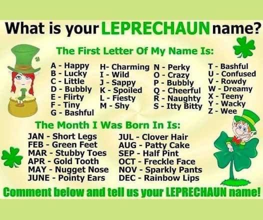 dakota_ginger's tweet photo. What’s your leprechaun name? https://t.co/h51tu0lASz