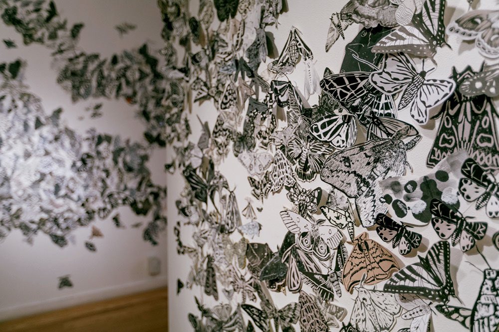 thebiennial's tweet photo. Over 16,000 paper moths from 27 different countries alight on the surfaces of the @denverbotanic for artist Hilary Lorenz's Cross-Pollination: The Moth Migration Project.
Visit through April 3.
https://t.co/GLHzTloBvw
#theAmericas
#AmericasArt
#MothMigrationProject https://t.co/6s4xUczYAX