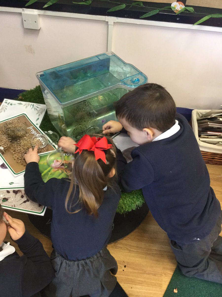 Murdishaw West YF tweet media