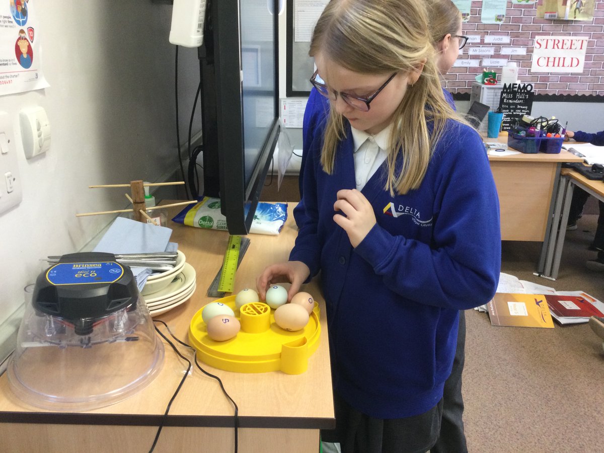 WillowGreenAcad's tweet photo. Year 5 have been turning, observing and checking our eggs for any changes and developments.
#WGAscience
#Deltasciencelab
@priscigeeks https://t.co/yKKgpqje8j