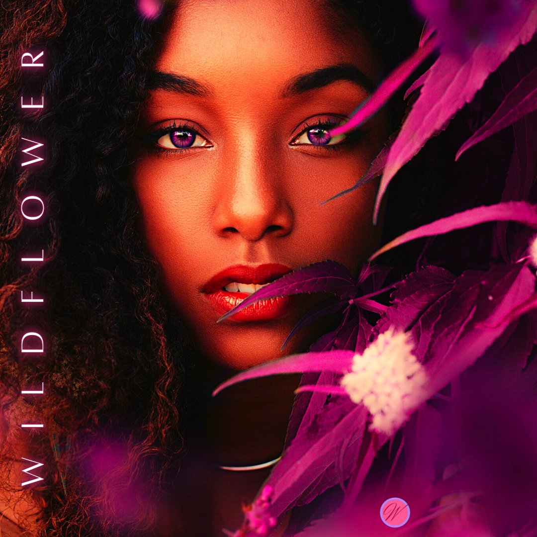 _wildflower_69's tweet photo. "These are my words, my imagination, and my creativity to entertain, to invoke, and to be real as I motherf***king can”.
#erotic #authoroftwitter #readingcommunity 

https://t.co/4OrjSS7QwM https://t.co/arNzZgfrx5
