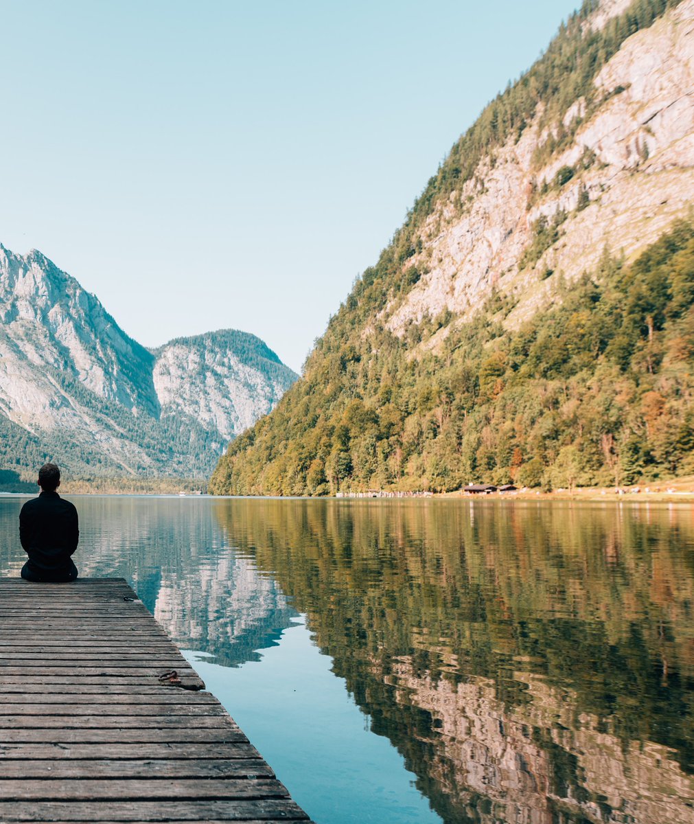 TimmyStart's tweet image. Things that make almost everyone happier.