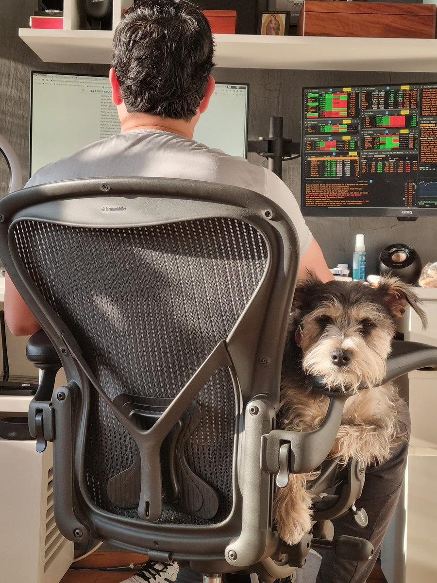 IngridMonreal's tweet photo. Cuando tienes un esclavo que trabaja para mantenerte y tú solo tienes que ser adorable 😂😂😂. En mi siguiente vida quiero ser como Greta. https://t.co/nzIyEXYkxv