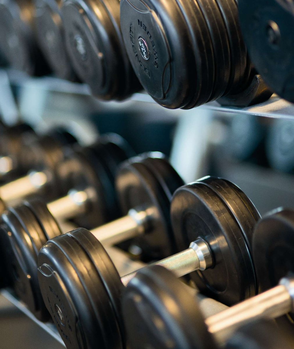 TimmyStart's tweet image. Things that make almost everyone happier.