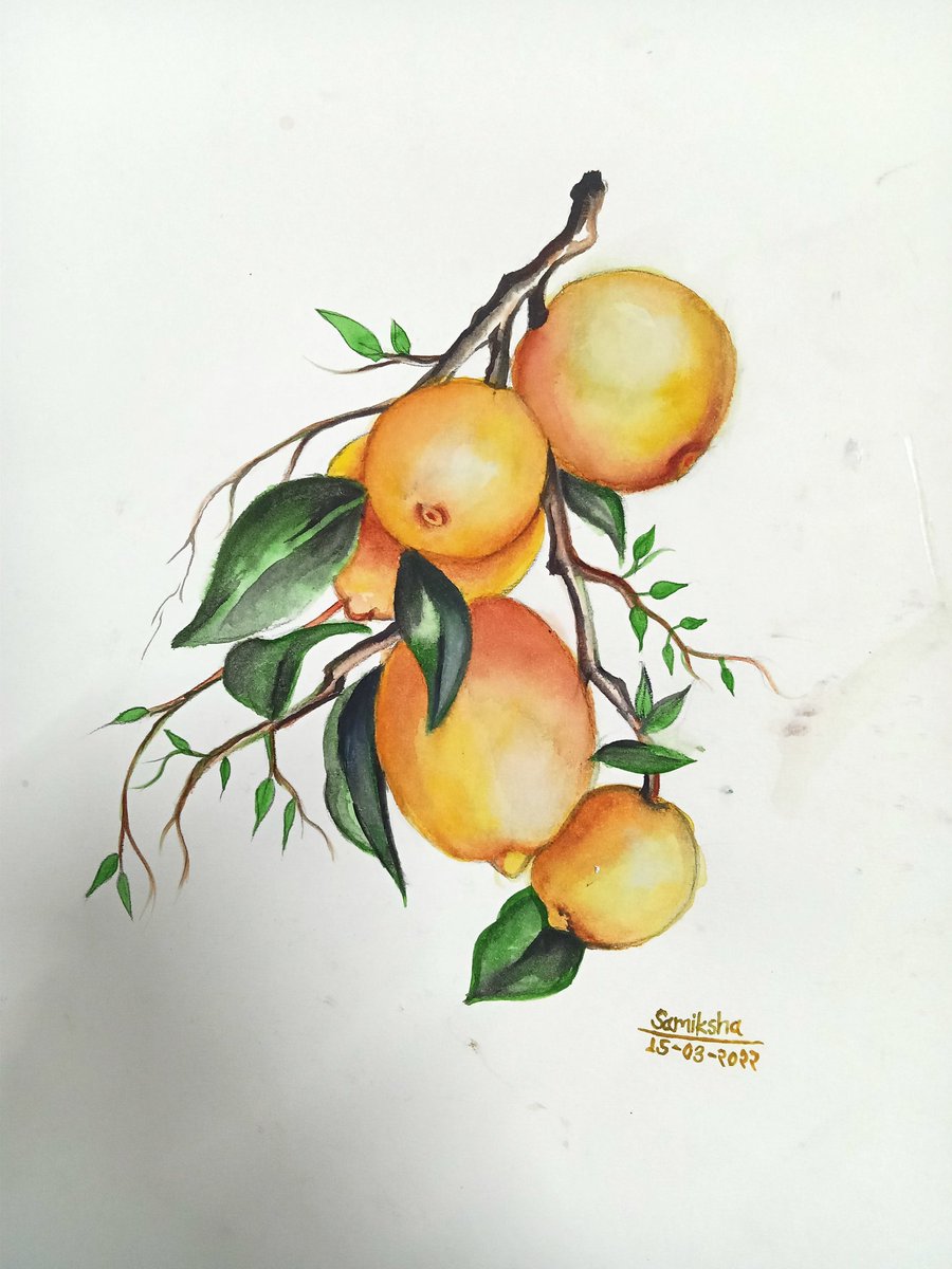 sami_art_draw's tweet photo. #watercolorpainting 
#fruit art work https://t.co/4JMRne3vi1