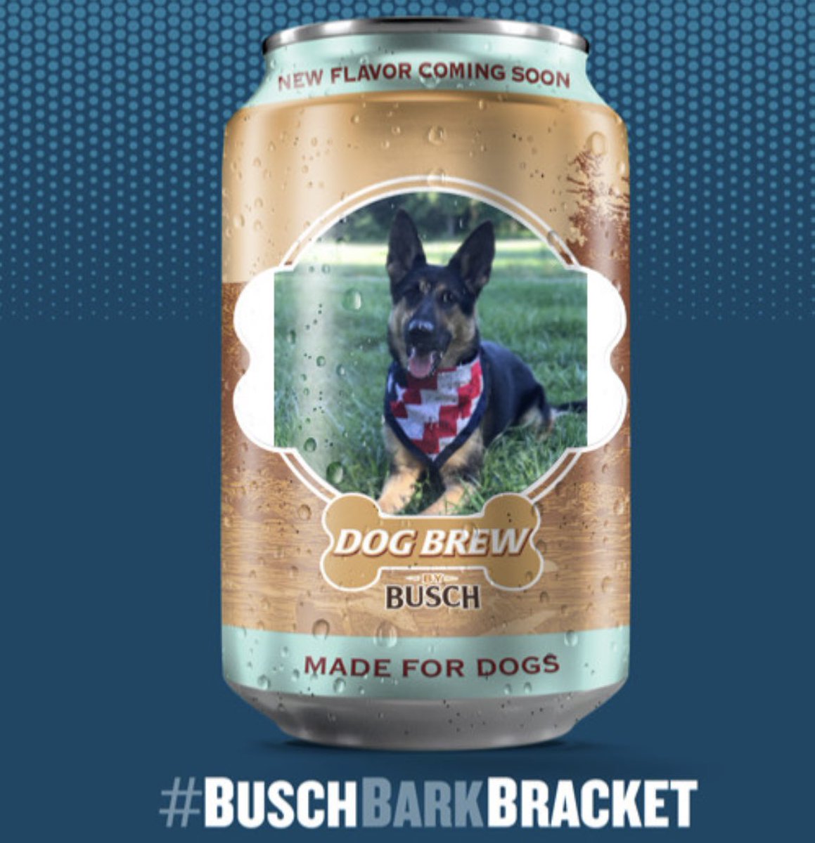 dylanerwin95's tweet photo. #BUSCHBARKBRACKET #Contest https://t.co/JNLuPxQR0U